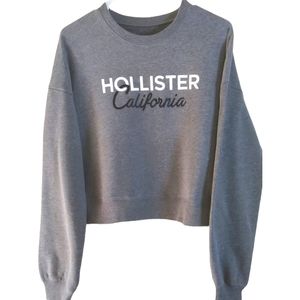 Hollister Gray Sweat shirt